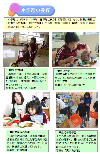 小学部の教育 宮城県立金成支援学校